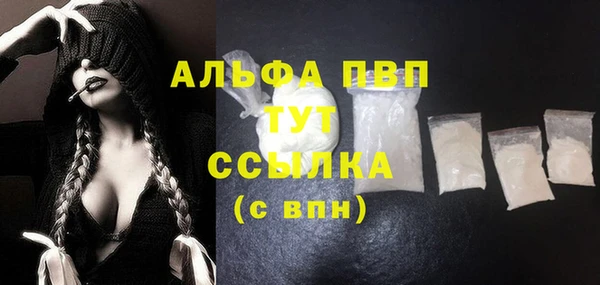 spice Вяземский