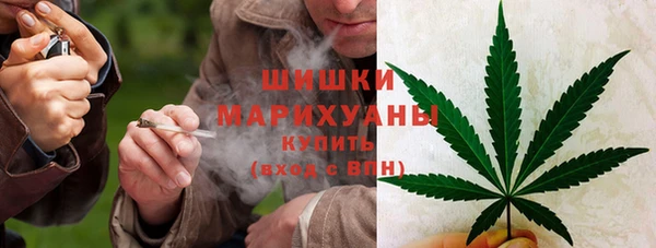 прущие крисы Вязьма