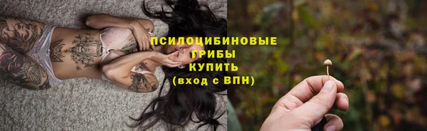 spice Вяземский