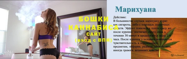 spice Вяземский