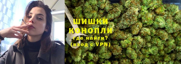 spice Вяземский